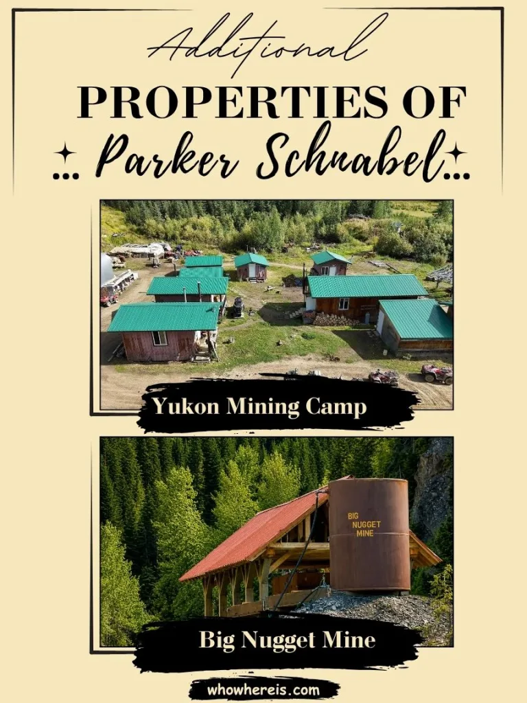 Additional Properties