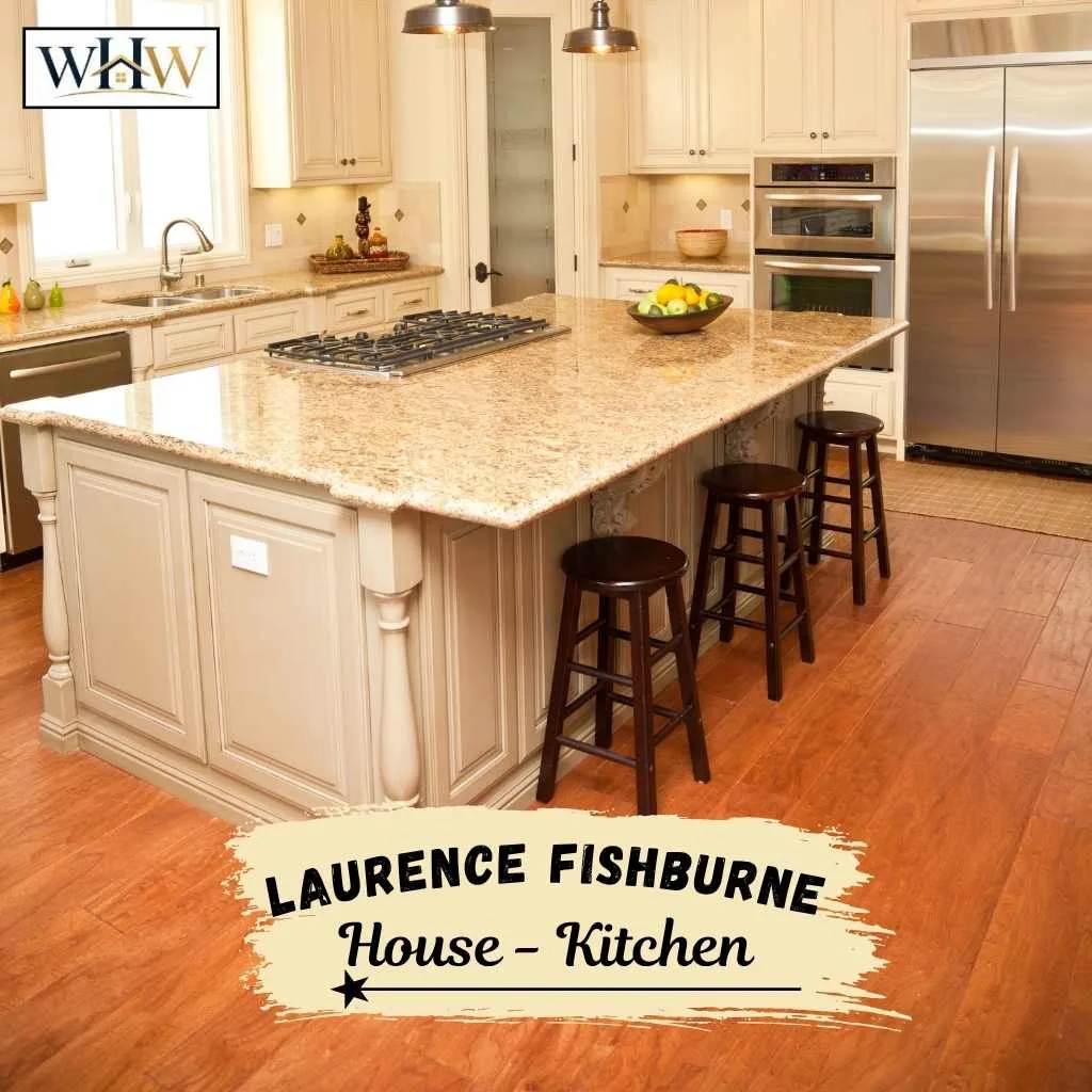 Laurence Fishburne House: Inside $2.2M Hollywood Hills Home 8 Laurence Fishburne House Kitchen