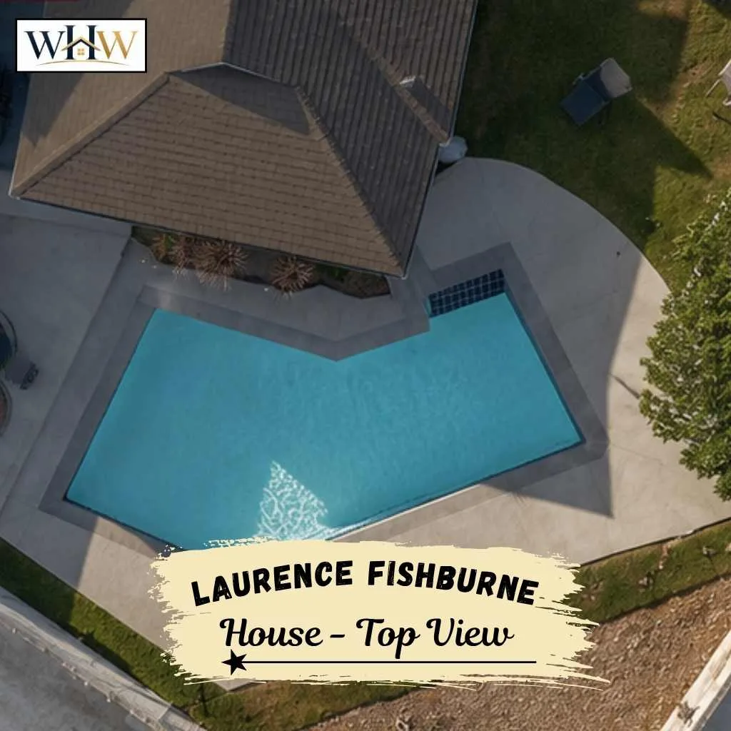 Laurence Fishburne House: Inside $2.2M Hollywood Hills Home 4 Laurence Fishburne House Top View