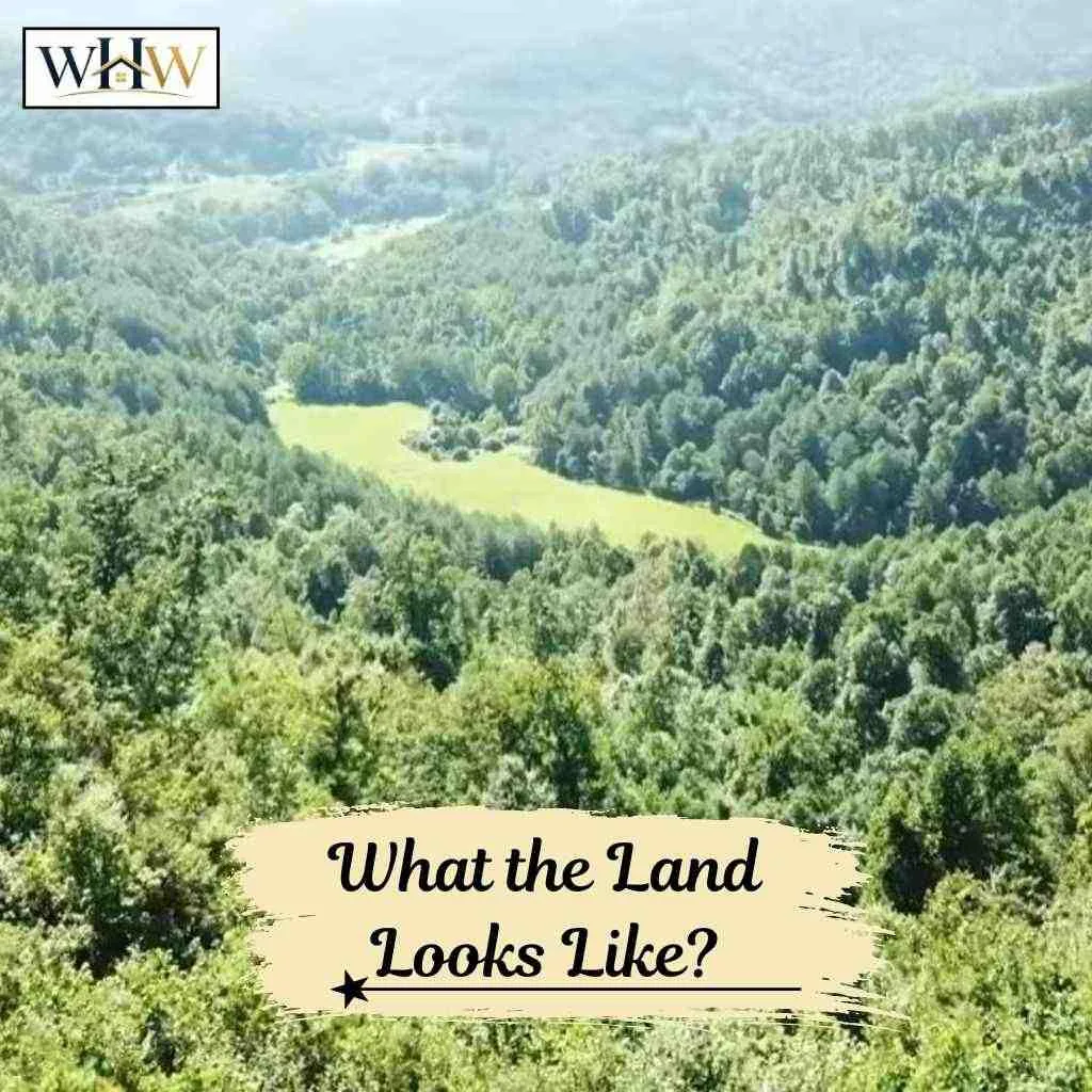 What the Land Looks Like