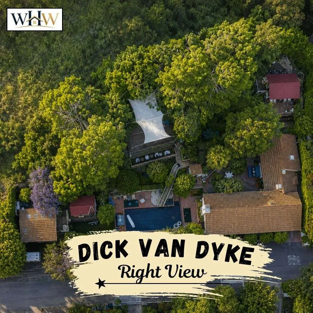 dick van dyke Right View 1