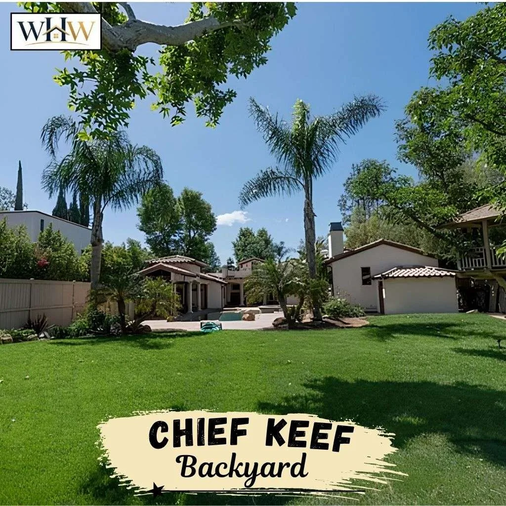 Chief keef Backyard