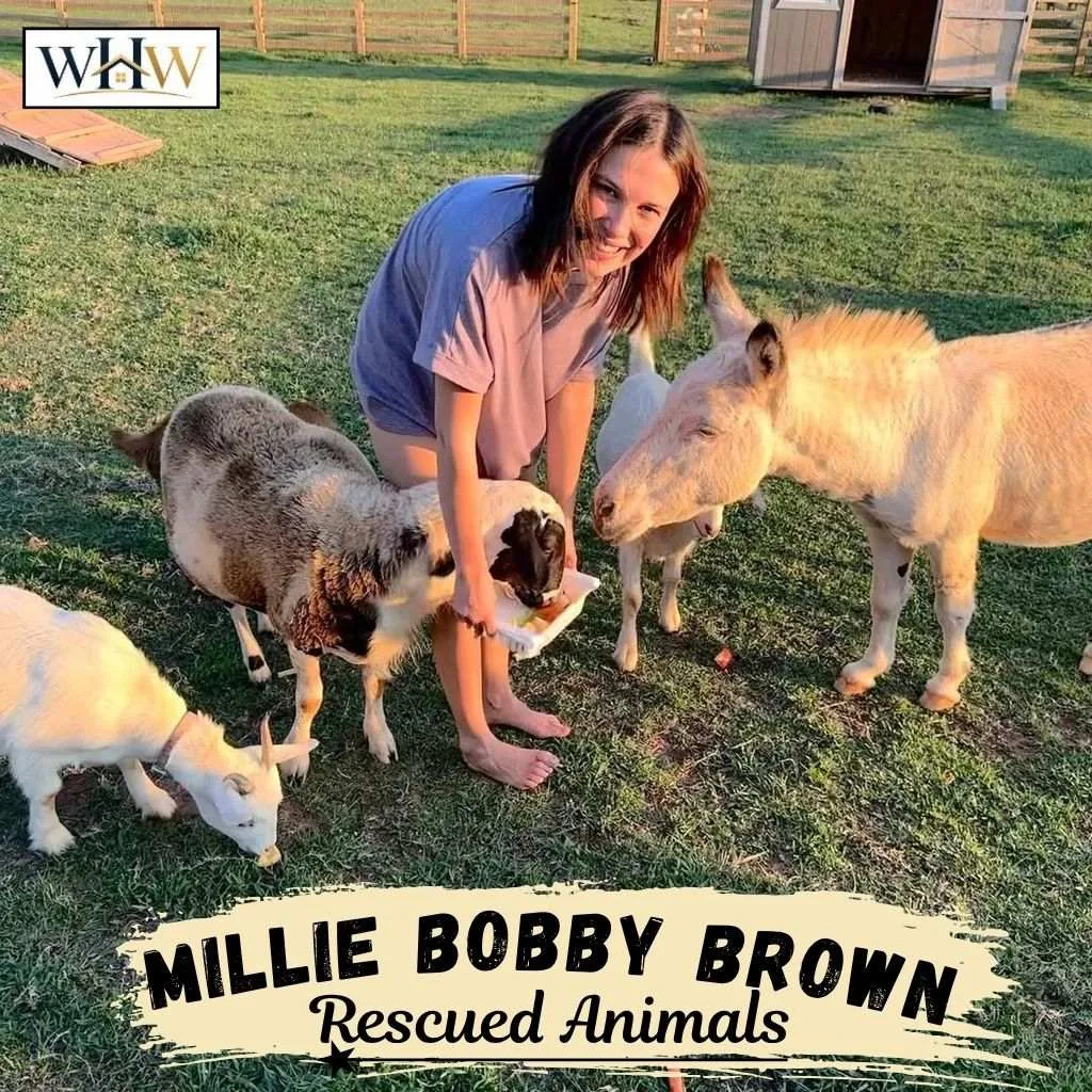 Millie Bobby Brown House: Inside Her $620K Georgia Farm Home 5 Millie Bobby Brown House Rescued Animals