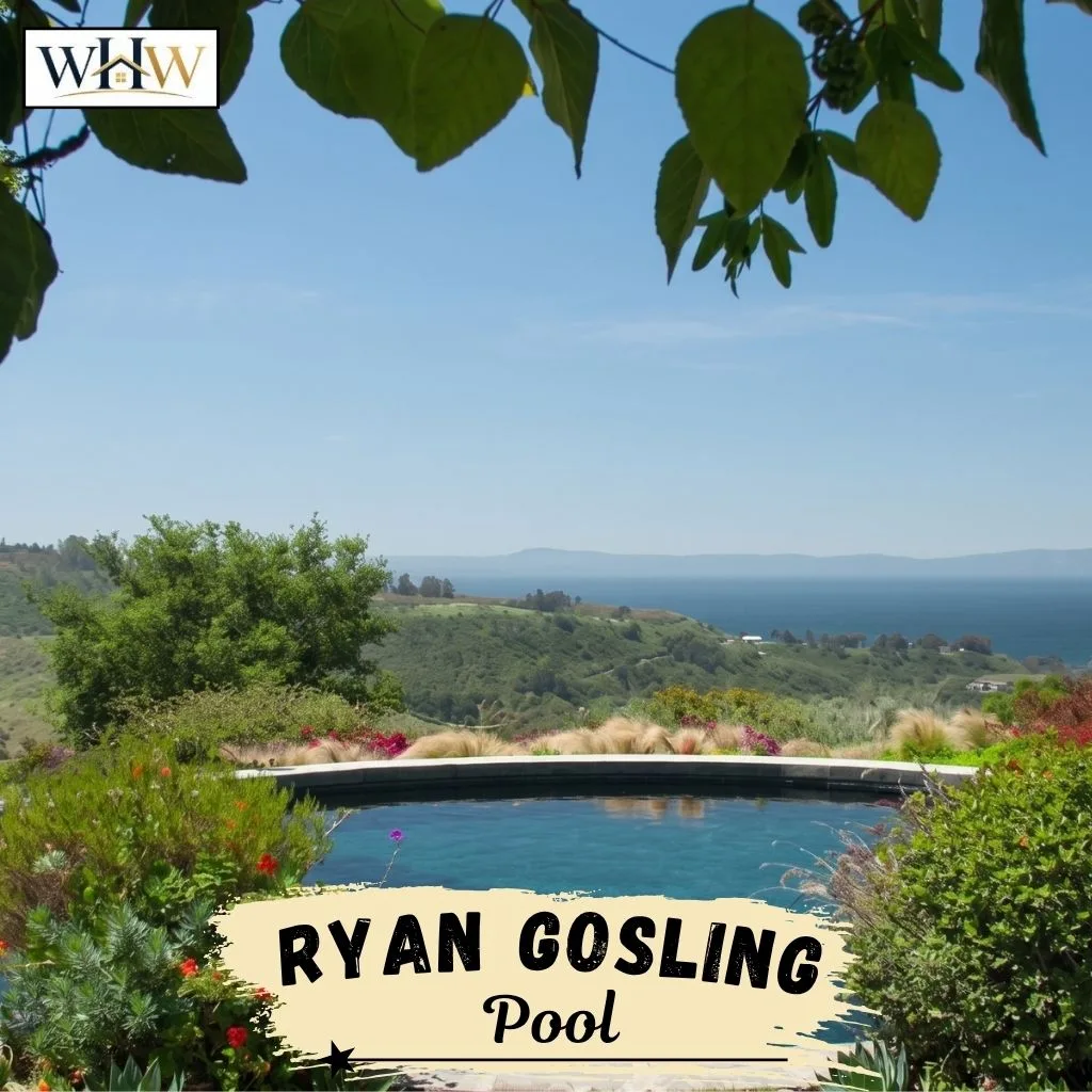 Ryan Gosling Pool