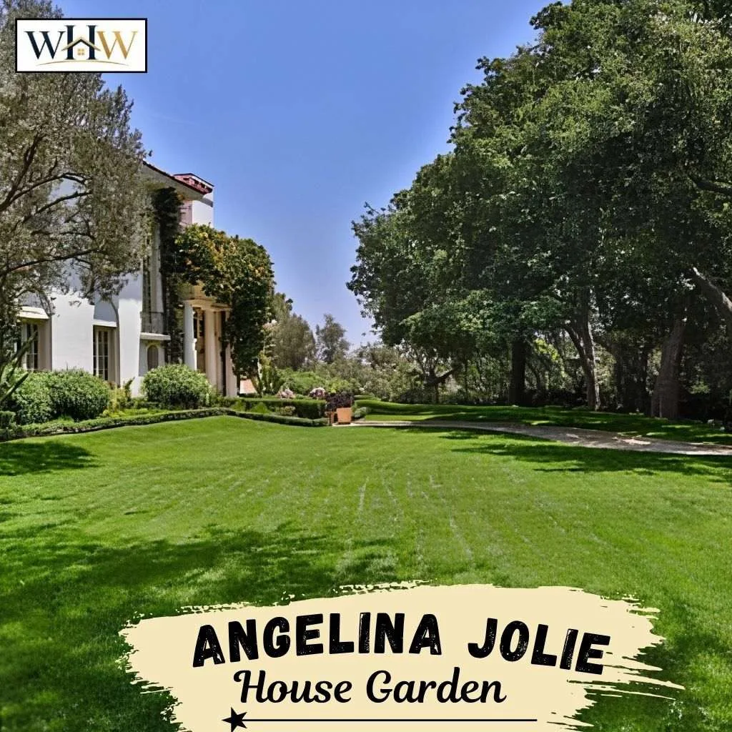 Angelina Jolie Garden