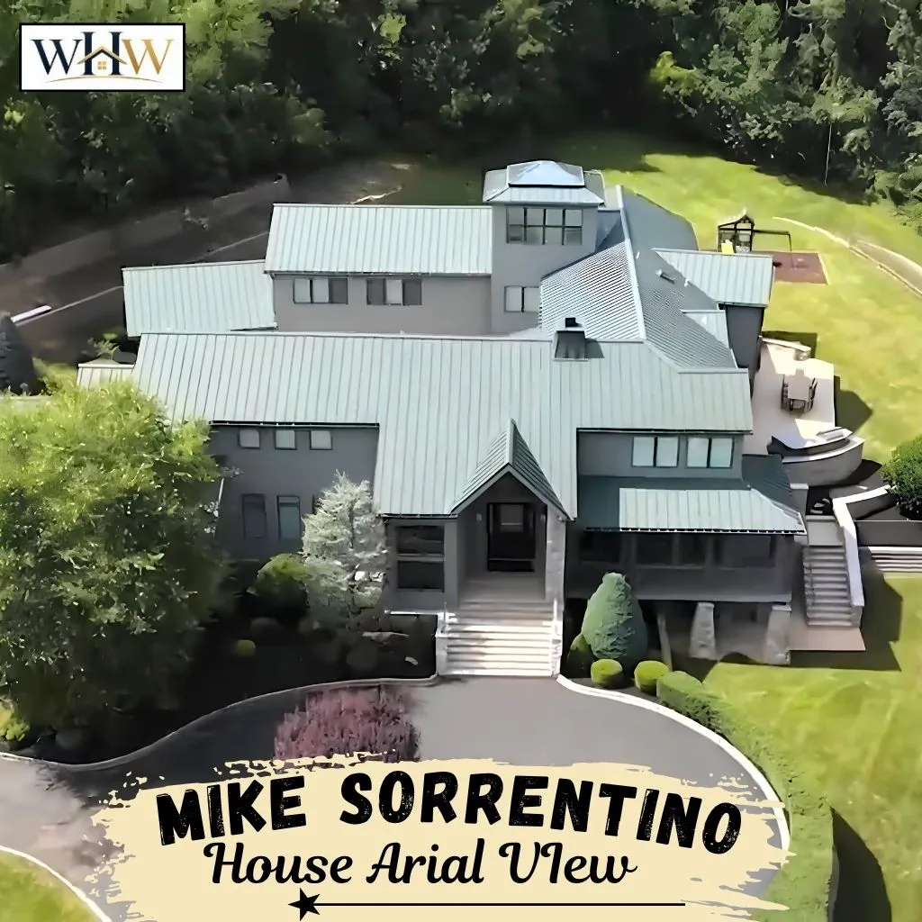 Mike Sorrentino Aria View