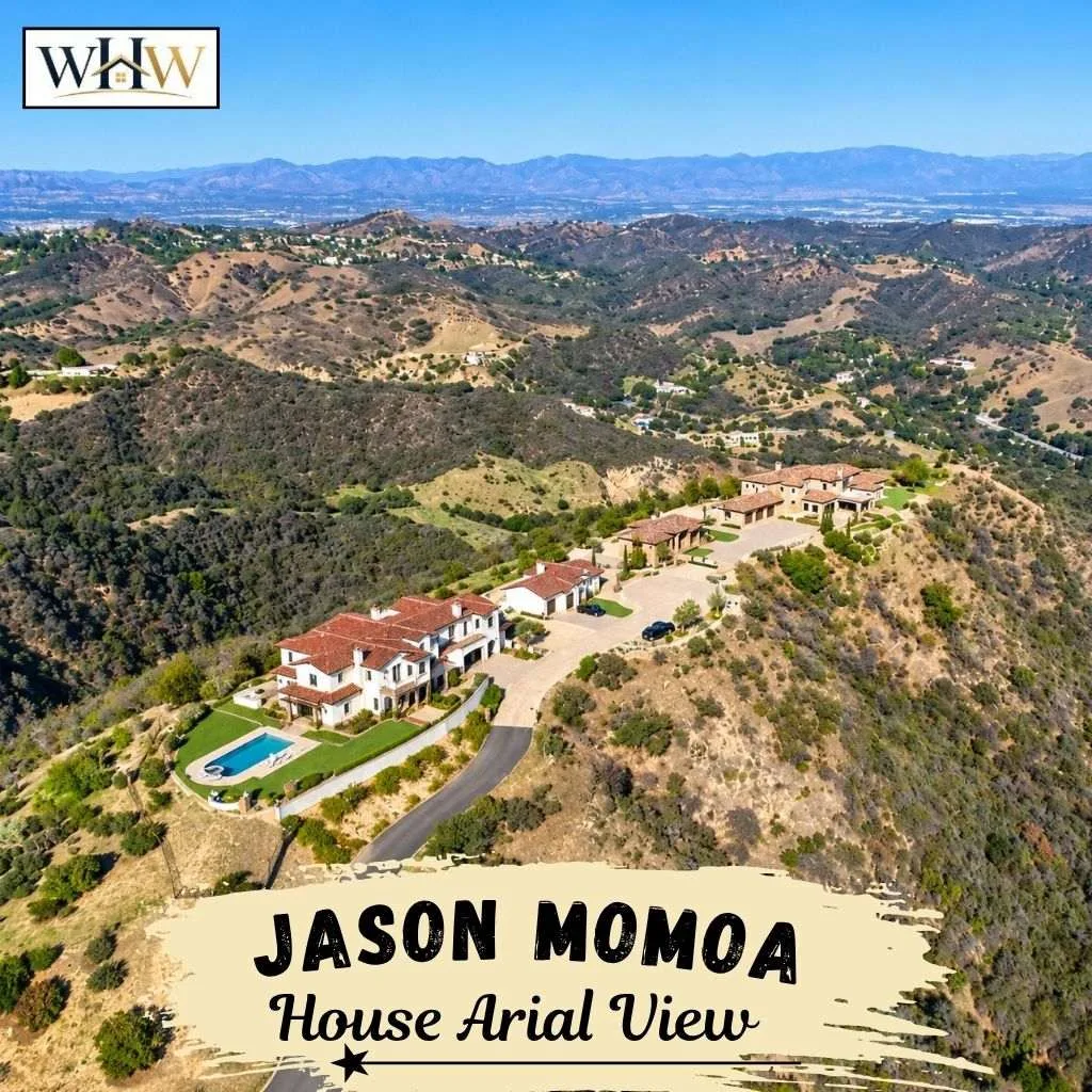 Jason Momoa House Arial View