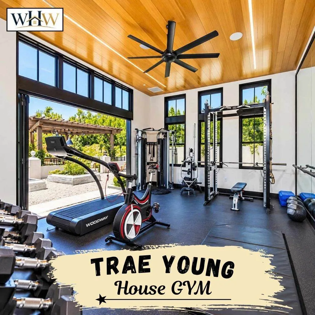 Trae Young GYM